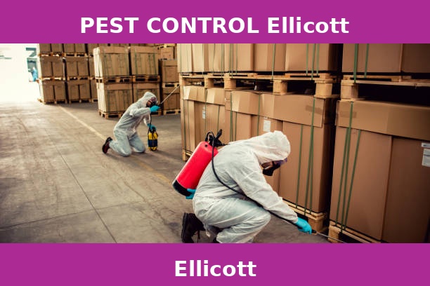 PEST CONTROL Ellicott
